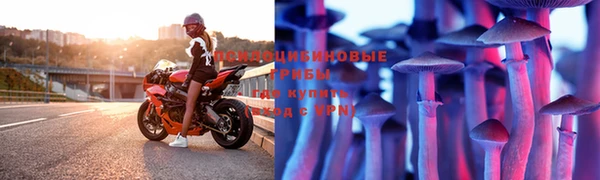 mdpv Семилуки